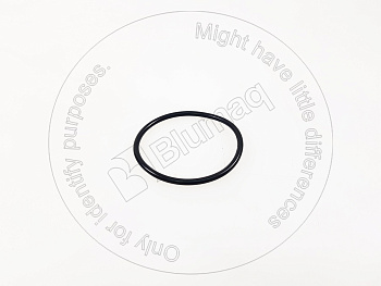 2U1074 ST КОЛЬЦО КРУГЛОГО СЕЧЕНИЯ