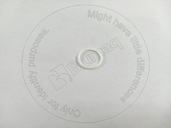 8M0781 ST САЛЬНИК