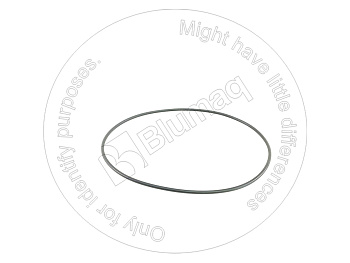 0700005270 ST КОЛЬЦО КРУГЛОГО СЕЧЕНИЯ
