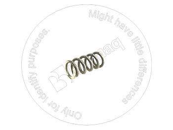 B114010 OE CLUTCH SPRING GREEN