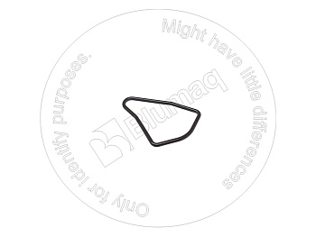 2524837 OR САЛЬНИК