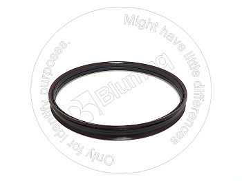 1748917 ST SEAL GP-SM