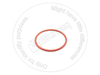 6127194450 OR КОЛЬЦО КРУГЛОГО СЕЧЕНИЯ