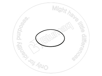 0813193 ST КОЛЬЦО КРУГЛОГО СЕЧЕНИЯ